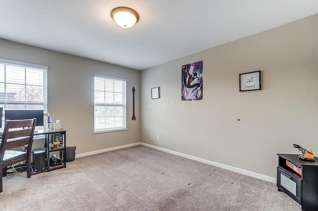 home office with plenty of natural light and light colored carpet