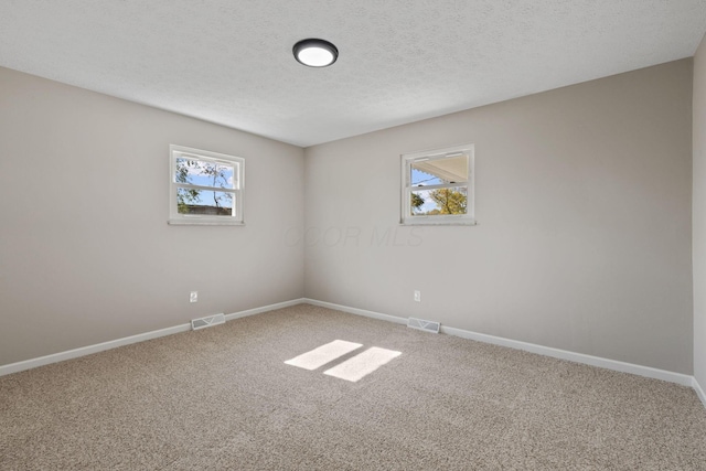 carpeted spare room with a healthy amount of sunlight and a textured ceiling