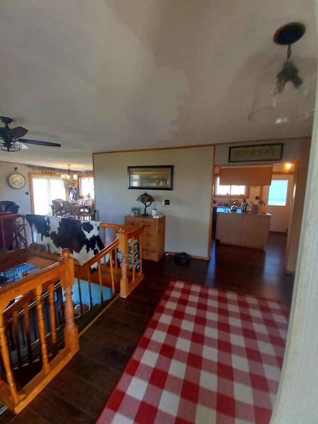 interior space with dark hardwood / wood-style flooring and a notable chandelier