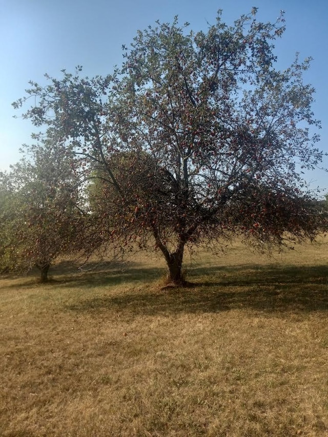 view of nature featuring a rural view