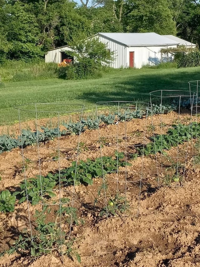 view of yard featuring a rural view and an outdoor structure