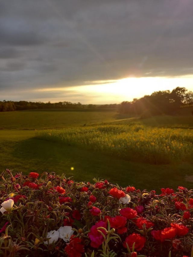 nature at dusk featuring a rural view