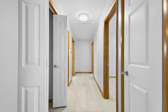 5608 Cardinal Dr, Orient, OH 43146 - hall with baseboards