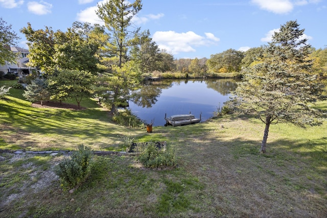 5608 Cardinal Dr, Orient, OH 43146 - water view featuring a boat dock