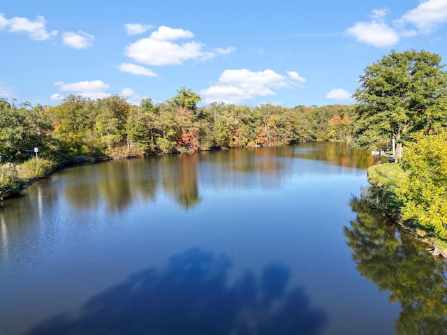 5608 Cardinal Dr, Orient, OH 43146 - water view featuring a forest