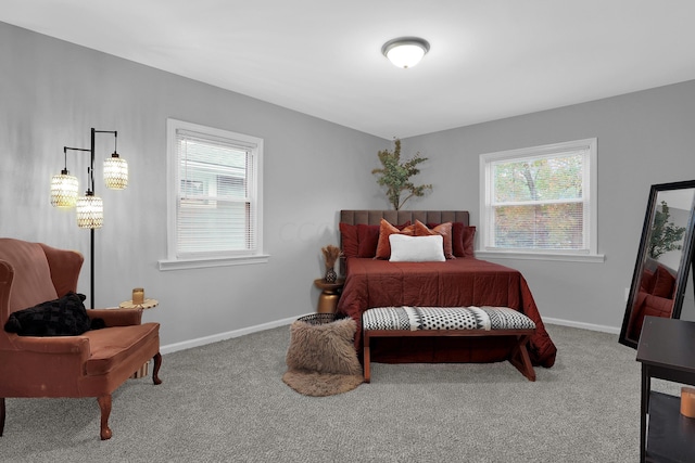 bedroom with carpet and multiple windows