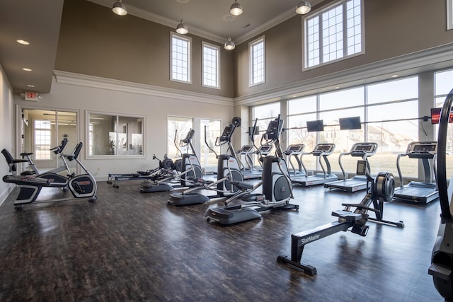 exercise room with plenty of natural light, a towering ceiling, and ornamental molding