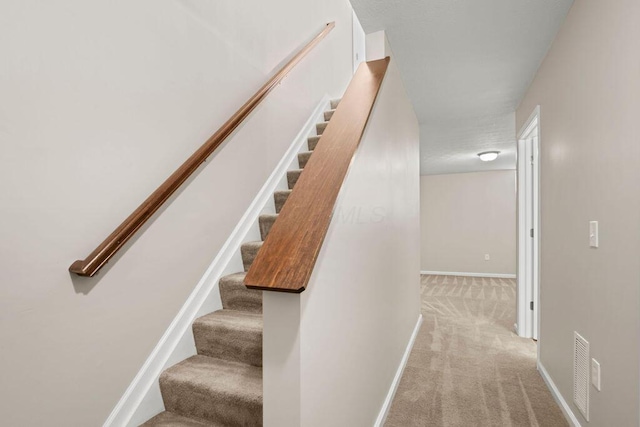 stairs featuring carpet flooring