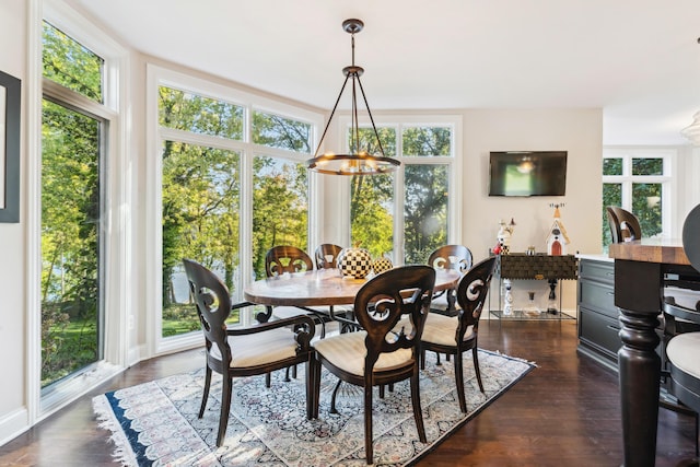 dining area featuring a wealth of natural light, dark hardwood / wood-style floors, and an inviting chandelier