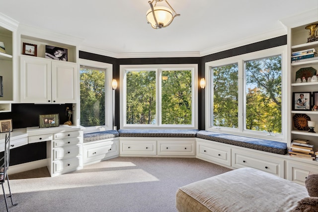 interior space featuring ornamental molding