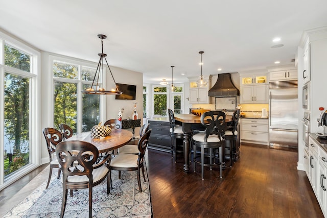 dining area featuring dark wood-type flooring