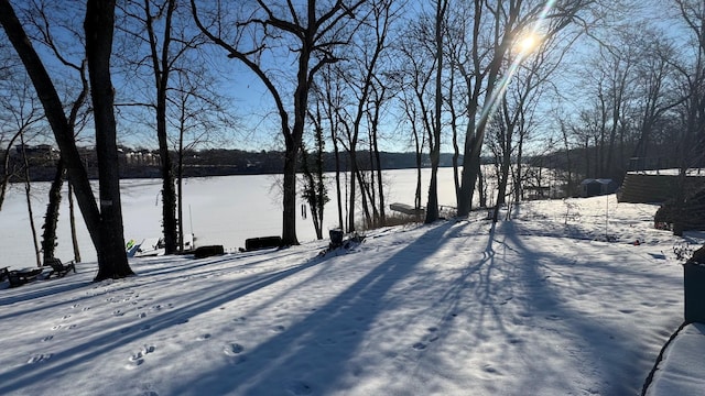 view of yard covered in snow