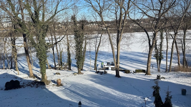 view of yard covered in snow