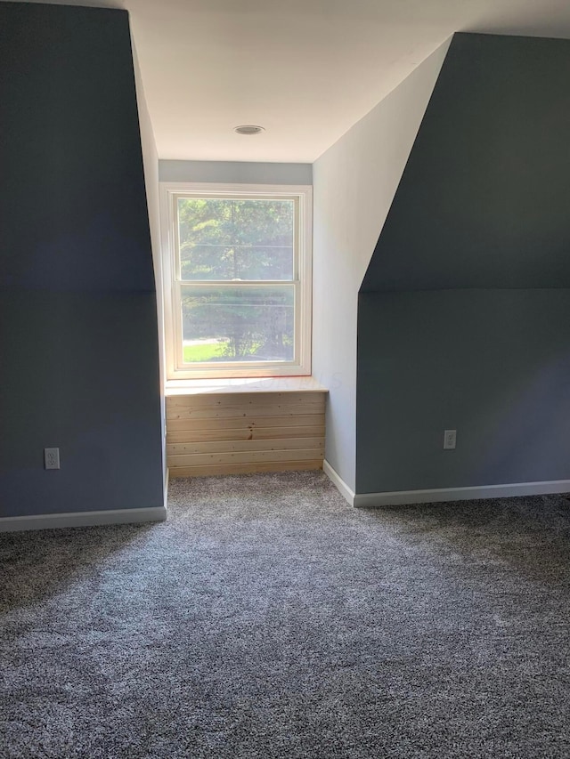 additional living space featuring carpet and lofted ceiling