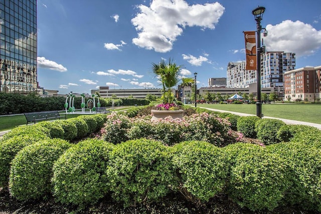 view of community featuring a lawn