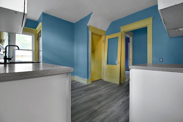 kitchen with sink, lofted ceiling, and dark wood-type flooring