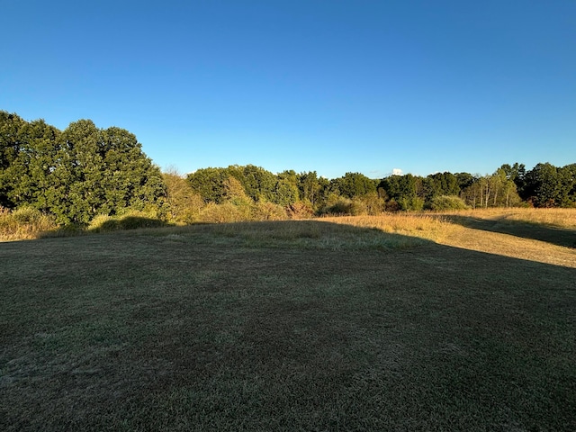 view of local wilderness