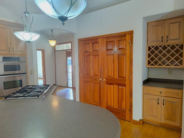 kitchen with stainless steel appliances, light hardwood / wood-style flooring, and hanging light fixtures