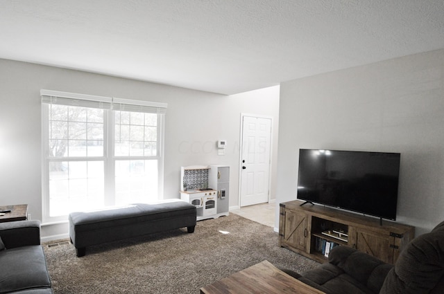 carpeted living room with a textured ceiling