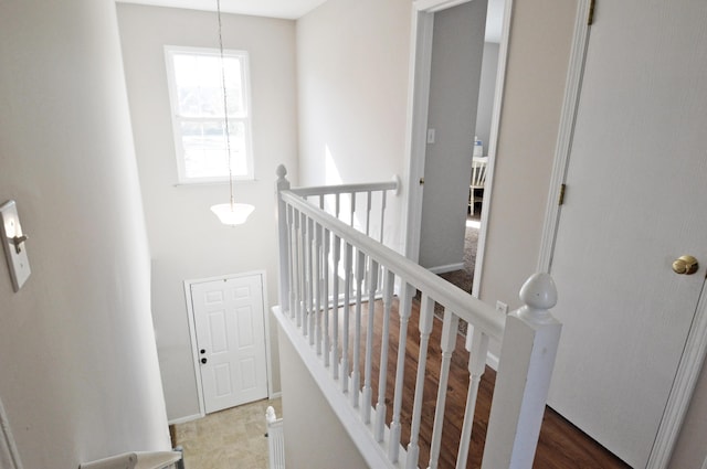 stairway with hardwood / wood-style flooring