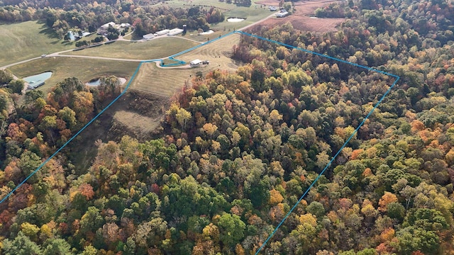 aerial view with a wooded view