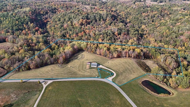 bird's eye view with a forest view