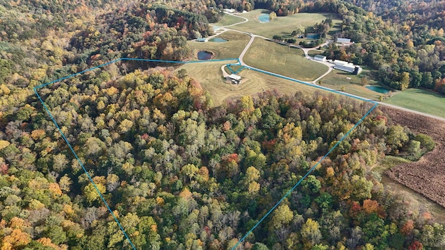 aerial view with a view of trees