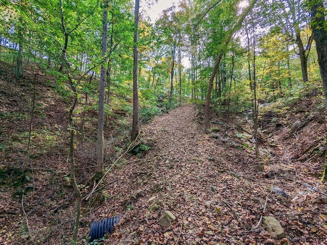 view of landscape featuring a wooded view