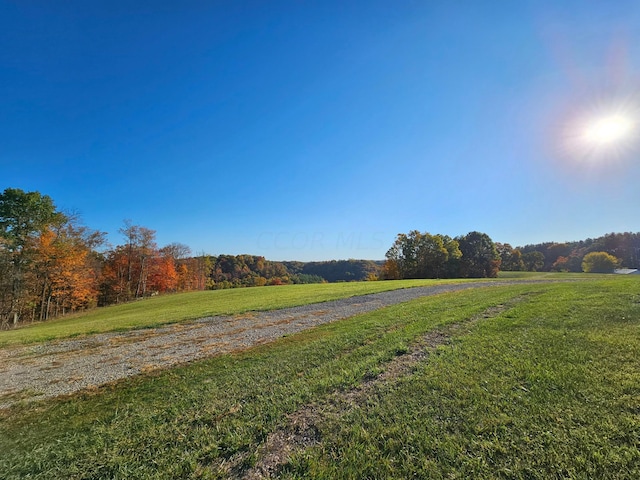 view of yard featuring a rural view