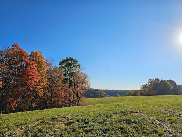 view of yard with a rural view