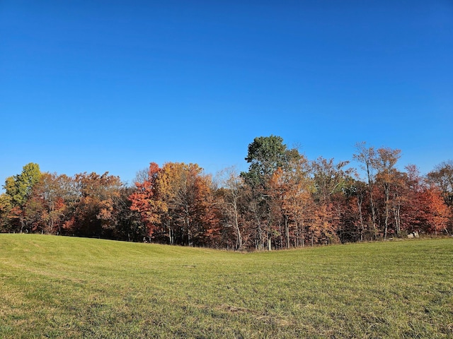 view of yard featuring a view of trees