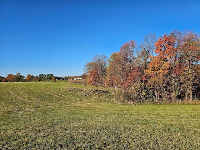 view of nature with a rural view