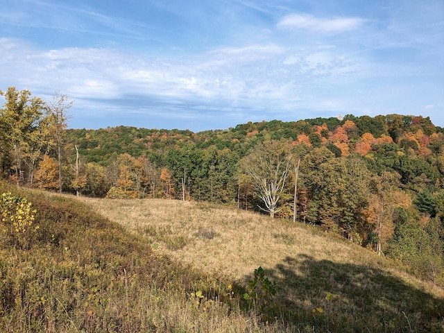 view of nature featuring a forest view