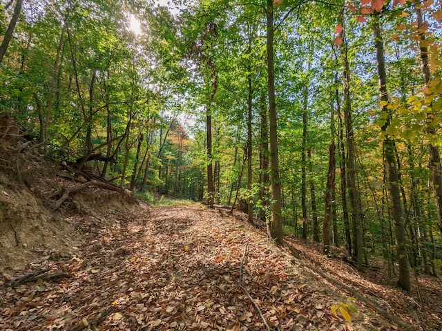 view of local wilderness with a view of trees