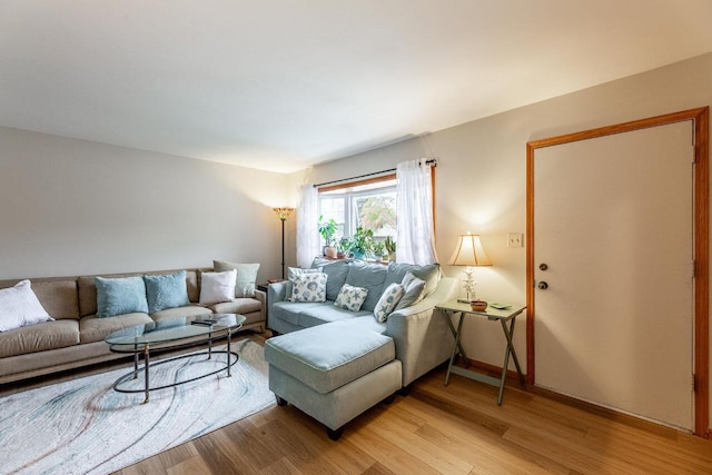 living room featuring light hardwood / wood-style floors