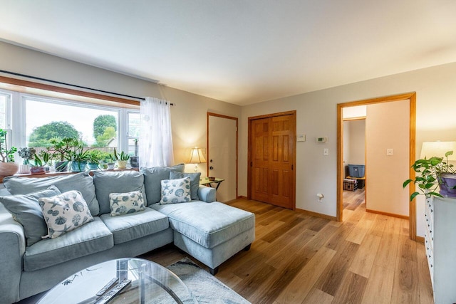 living room featuring light hardwood / wood-style floors