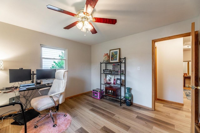 office space featuring ceiling fan and light hardwood / wood-style flooring