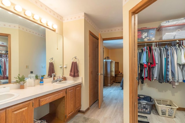 bathroom with hardwood / wood-style floors and vanity