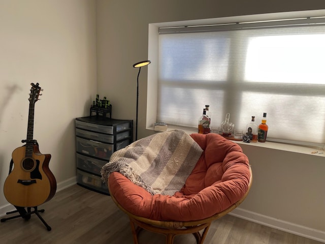 sitting room featuring hardwood / wood-style flooring