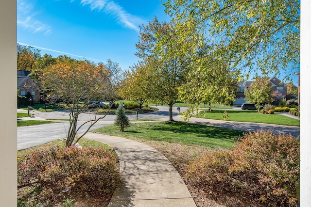 view of property's community with a lawn