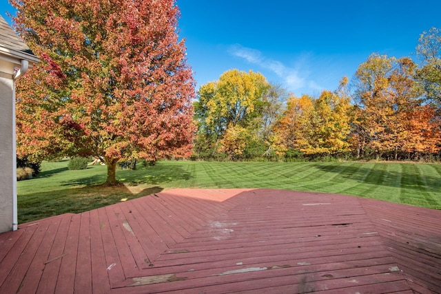 deck featuring a lawn