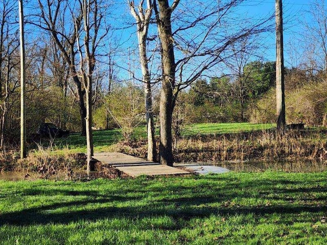 3483 State Route 257, Ostrander, OH 43061 - view of yard