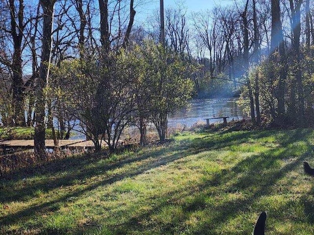 3483 State Route 257, Ostrander, OH 43061 - view of yard with a water view