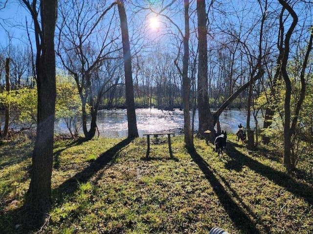 3483 State Route 257, Ostrander, OH 43061 - view of yard