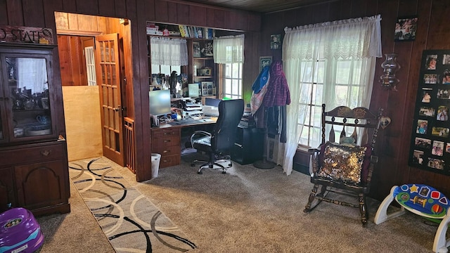 3483 State Route 257, Ostrander, OH 43061 - home office with wood walls and carpet floors