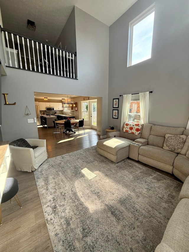 living room with a high ceiling and hardwood / wood-style flooring