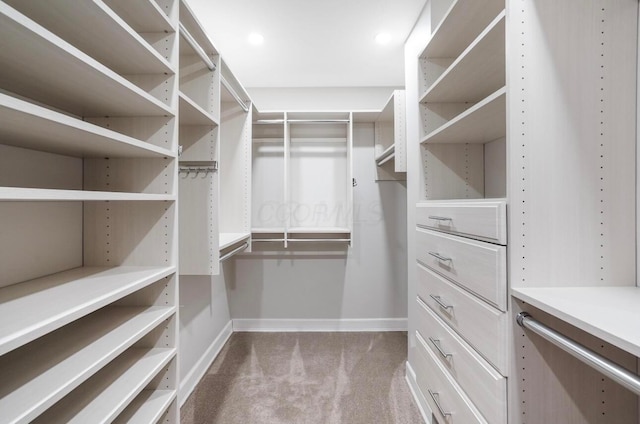 walk in closet with light colored carpet