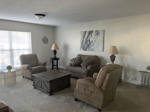 living room with carpet and a textured ceiling