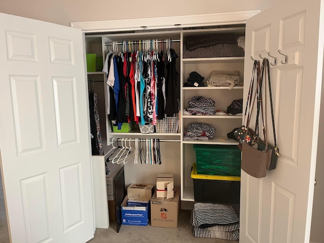 view of closet