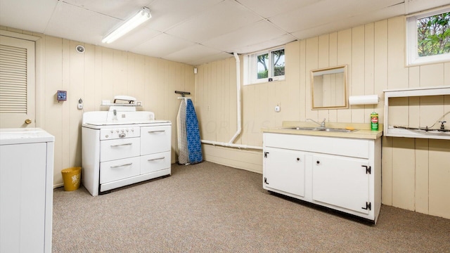 laundry area with wood walls, cabinets, sink, and light carpet